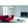Daikin ATXP25M / ARXP25M